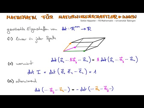 Determinanten 1 - wünschenswerte Eigenschaften