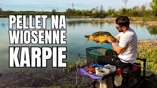 Skuteczna taktyka na wiosenne karpie. Method Feeder na łowisku Tenczynopol.