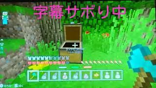 バトミニ日記　2
