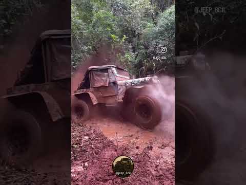 Willys botando pressão na Trilha da Cascata em Pranchita PR #turbo #offroad #jeep