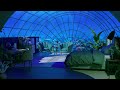Cozy Underwater Room Ambience Deep Underwater Sounds For Sleep Relax Study Ocean Sounds