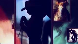 Susie Arioli ~ Tess' Torch Song