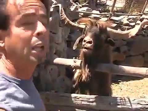 Do not shout at me...  Не ори на меня...