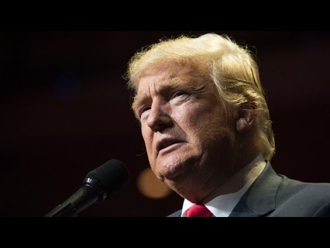 Ex-Apprentice contestant latest to accuse Trump