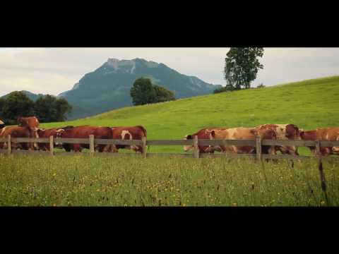 Video 23 aus  Hof Gottenau