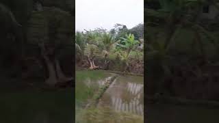 Download lagu Melihat Pemandangan Di Kereta Api #pemandangan #indah #shortsvideo mp3