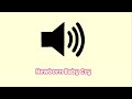 Newborn Baby Cry Sound Effect