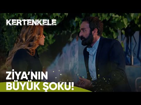 Zehra, Ziya'nın kaçması için ona yardım ediyor - Kertenkele 28. Bölüm