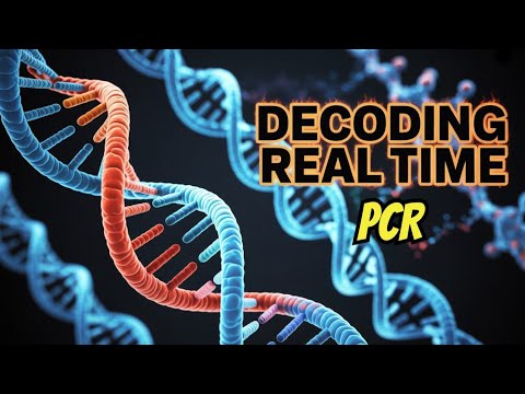Real-Time PCR Explained | SYBR Green vs TaqMan Probes 🔬📊