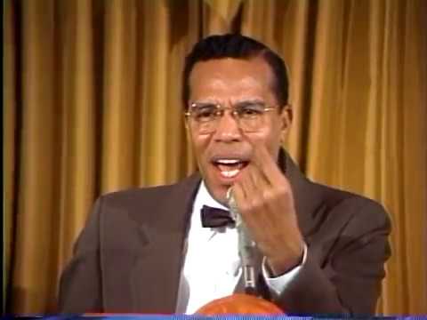 Minister Louis Farrakhan: The Triumph of The Will Pt 2