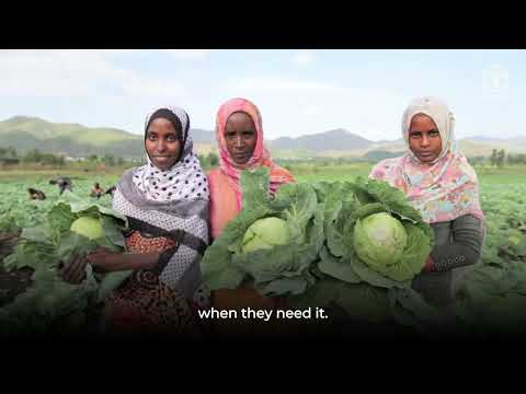 A Future in their hands: Digital Services Portfolio (DSP) in action