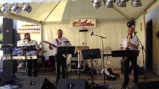 Angelina des Flippers par les Willerthaler