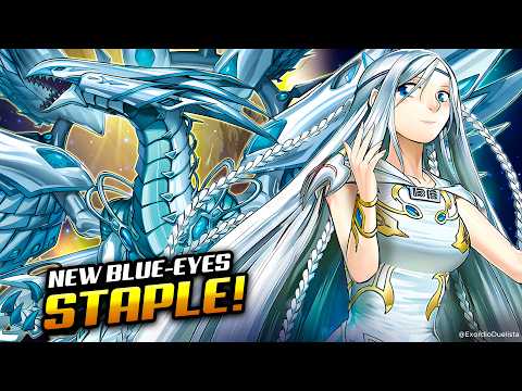 NEW Starter and extender! Blue-Eyes Deck (ft. NEW Deep-Eyes White Dragon, the Blue Abyss) | MDPRO3