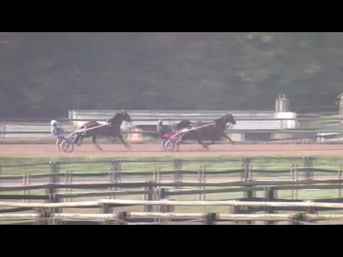 Elicatte de Viette et Ulisse LL