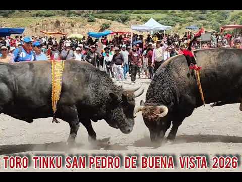 TORO TINKU SAN PEDRO DE BUENA VISTA 2026. WAYRONQO  vs  CHACHAWAWA 