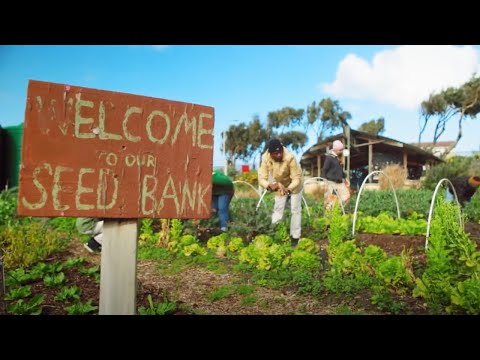 Cultivating a Greener Future Together