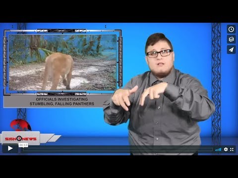 Officials investigating stumbling, falling panthers (ASL - 8.21.19)