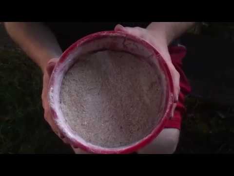 Feeding the European Night Crawlers