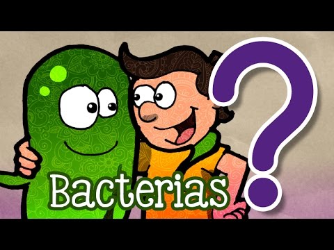 Las Bacterias No Son Tan Malas Como Lo Creías