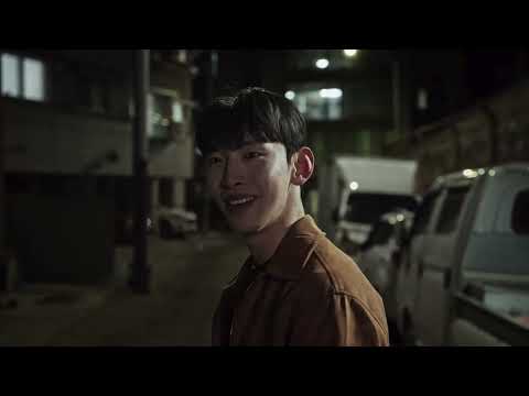 비디오 8