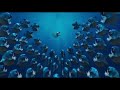 Scrat S Piranha Smackdown With Sound Effects And Voices