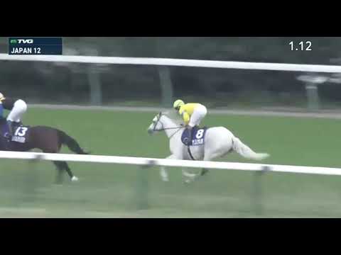2020 11:29 JAPAN CUP G1 strongest Mare No1 Last run !  Christophe Lemaire :  Almond Eye G1 12 Win