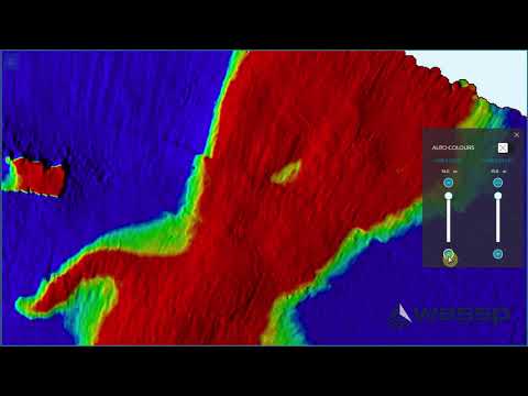 CDX Video – WASSP Resources