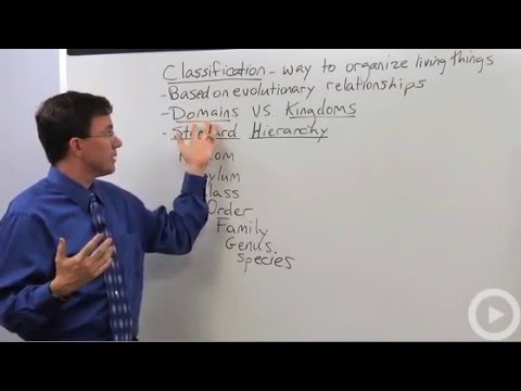 Classification Overview