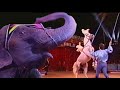 Super Flavio Star Al 22º Festival Del Circo Di Monte Carlo Cavalleria E Elefanti 1998