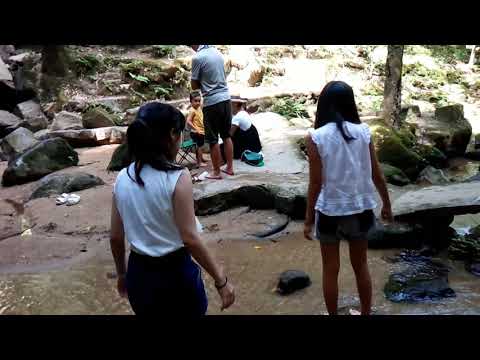 terrasse et jardin palmier-bambou-bassin-cascade