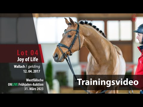 ONLIVE Frühjahrs-Auktion Training Lot 4 Joy of Life Wallach v. Jack Jones - Ampere (NLD)