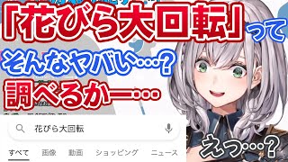遂に「花びら大回転」の意味を配信中に調べ、まさかの検索結果に絶句する白銀ノエル【ホロライブ切り抜き】