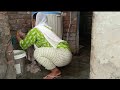 Washed Clothes Of Whole Family