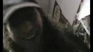 FuZZ FuZZ MaCHiNe - A trip in your ego - clip (UNOFFICIAL)