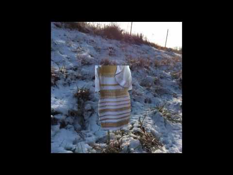 Blue and Black or White and Gold Dress Possible Solution/Explanation