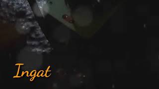 Download lagu Story wa pacar korek cok mp3 Download lagu Story wa pacar korek cok mp3