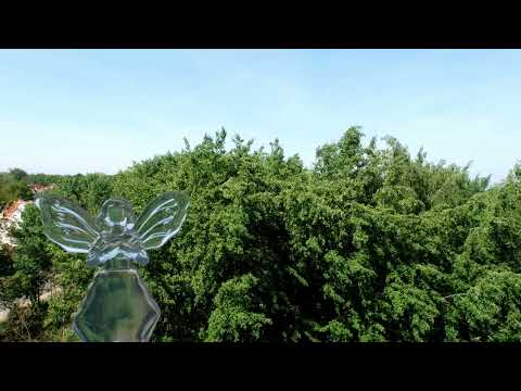 System Miłości. Ojciec Pio - 1507