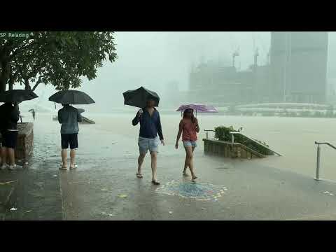 Walking in Heavy Rain in BRISBANE SOUTH BANK  and Nature Sounds 2022【4K】