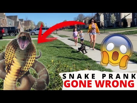 SNAKE PRANK GONE WRONG!