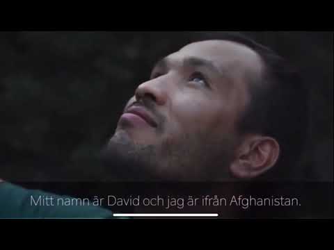 Witness21 Editor  2024 09 04