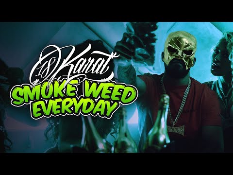 Video thumbnail for SMOKE WEED EVERYDAY