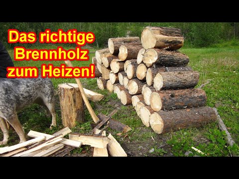Welches Brennholz ist am besten zum Heizen? Das richtige Kaminholz zum Heizen