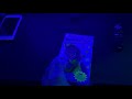 Opening To Barney Home Sweet Homes 1993 VHS