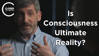 Neil Theise - Is Consciousness Ultimate Reality?