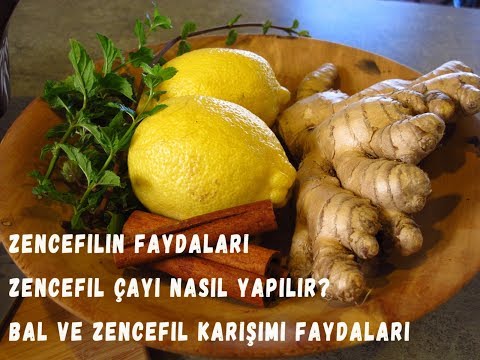 , title : 'Zencefilin Faydaları Nelerdir? Zencefil Çayı Nasıl Yapılır Bal ve Zencefil Karışımı Faydaları Nedir?'