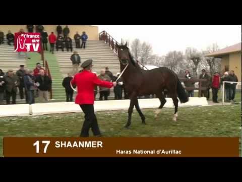 SHAANMER - Etalon Show du Centre-Est 2013