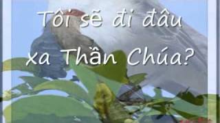 Chúa Biết Mọi Sự