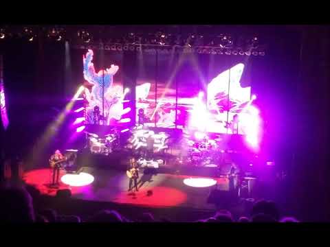 Yes Proto: 1967 - Tomorrow (ft. Steve Howe) - Journey Of Timothy Chase (live)