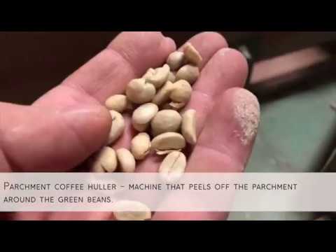 THE COFFEE DRY MILL PROCESS (THE COFFEE DRY MILL PROCESS)