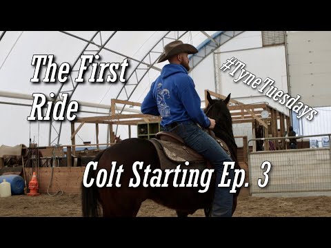 Colt Starting Episode 03